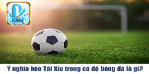 Kèo tài xỉu là gì?