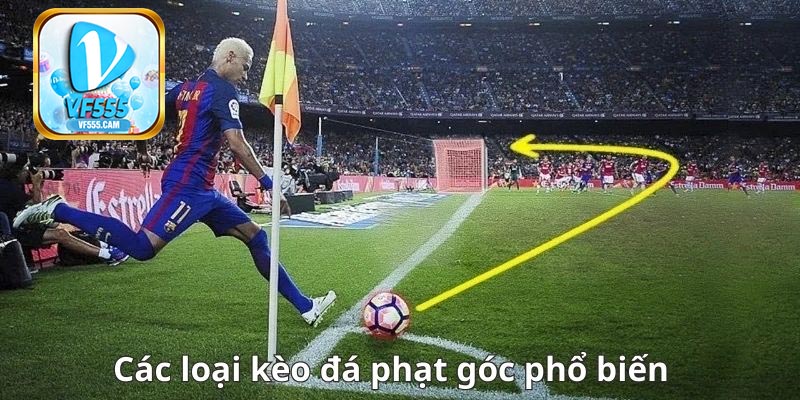 Một số loại kèo phạt góc nổi bật tại sân chơi VF555